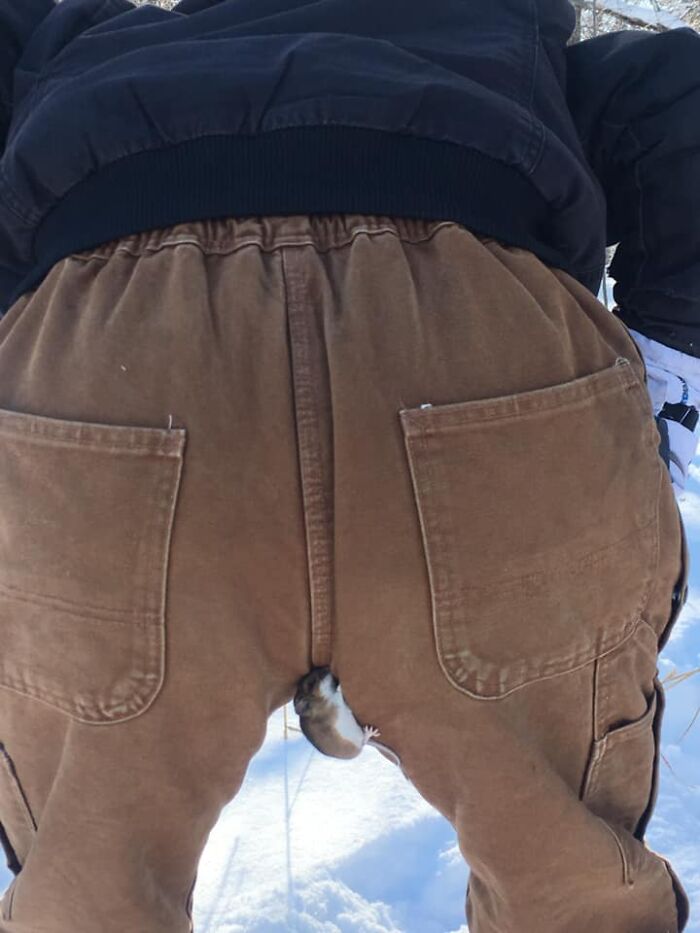 From A Couple Years Ago While Checking Wood Duck Boxes For Work. This Lil Thing And It’s Friends Jumped Out (They Nest In The Boxes For The Winter). I Proceeded To Freak Out Because I Didnt Want It Crawling Up Inside My Pants. My Coworker Found It And Took A Picture For Posterior Posterity