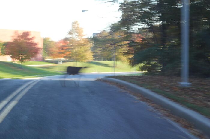 Pretty Much The Best Photo I’ve Ever Taken.