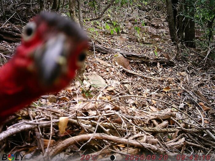 What’s Your Problem?!