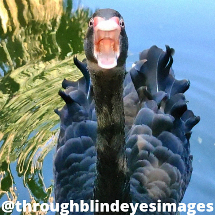 Lol Recent Snap I Got. Perfect Timing. Instant Meme. Ready Go