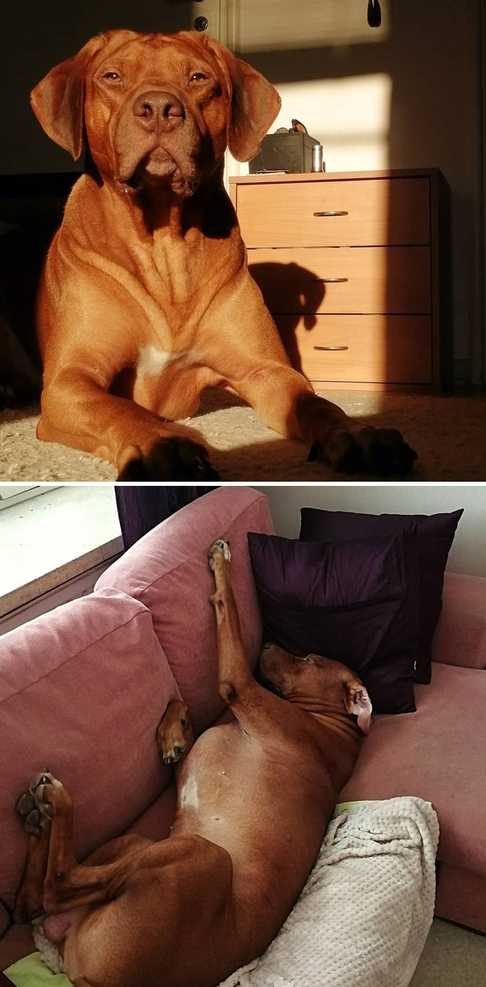 Funny-Instagram-vs.-Reality-Pics