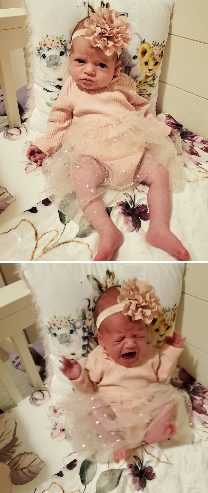 Funny-Instagram-vs.-Reality-Pics