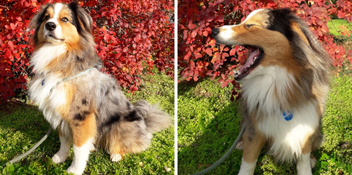 Funny-Instagram-vs.-Reality-Pics