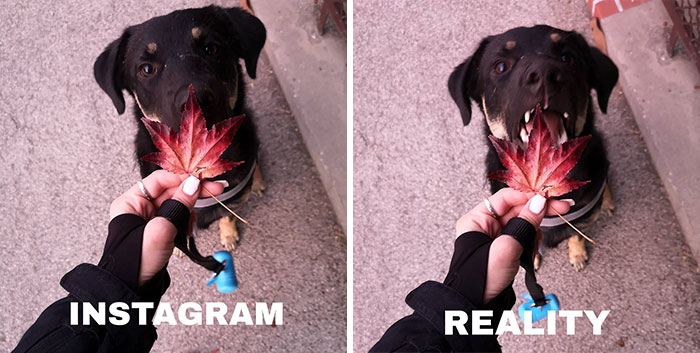Funny-Instagram-vs.-Reality-Pics