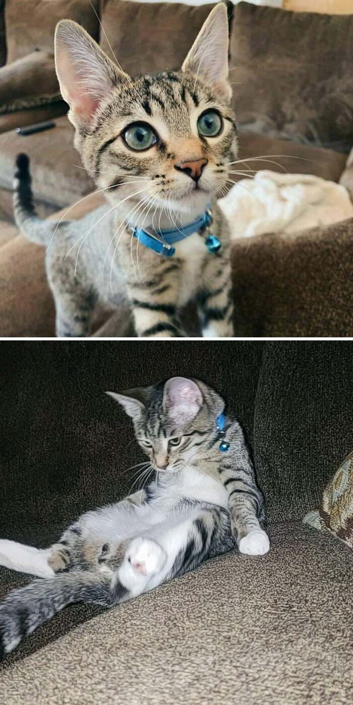 Funny-Instagram-vs.-Reality-Pics