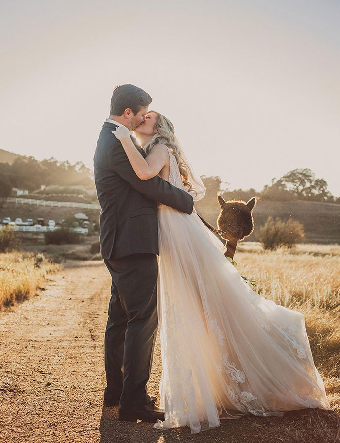 We Got Photobombed By An Alpaca