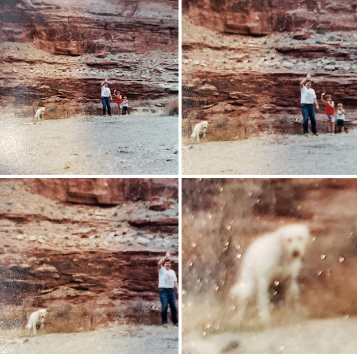 Found This Gem In The Old Family Photos