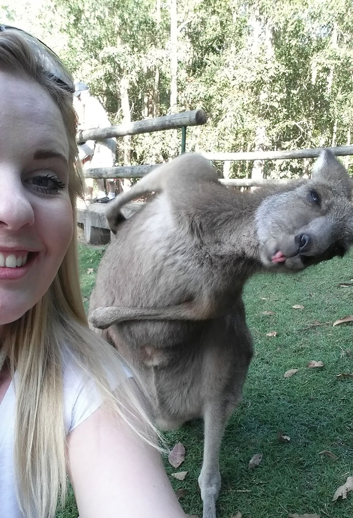 Take Pictures With My Friends