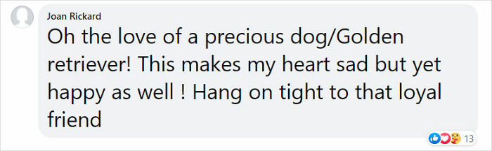 Golden Retriever Walks Over 62 Miles Over 2 Weeks To Find Her Owners