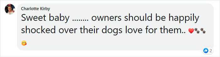 Golden Retriever Walks Over 62 Miles Over 2 Weeks To Find Her Owners