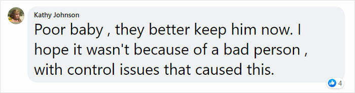 Golden Retriever Walks Over 62 Miles Over 2 Weeks To Find Her Owners