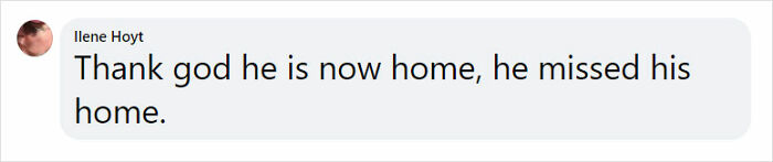 Golden Retriever Walks Over 62 Miles Over 2 Weeks To Find Her Owners