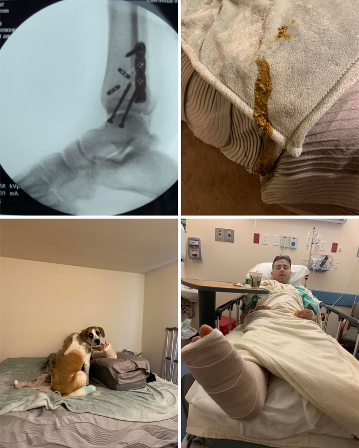 Guilty-Dog-Challenge