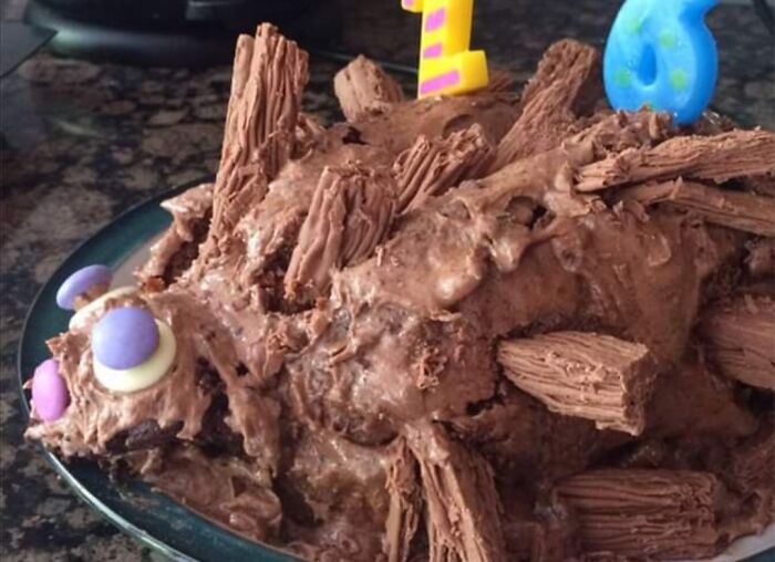 Hedgehog-Cake-Fails
