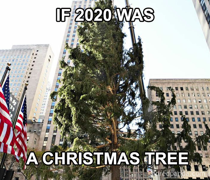 If-2020-Was-Meme-Joke