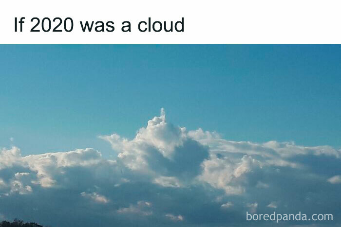 If-2020-Was-Meme-Joke