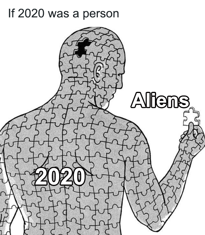 If-2020-Was-Meme-Joke