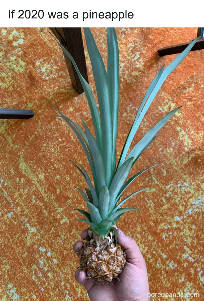 If-2020-Was-Meme-Joke