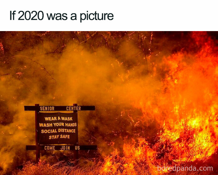 If-2020-Was-Meme-Joke