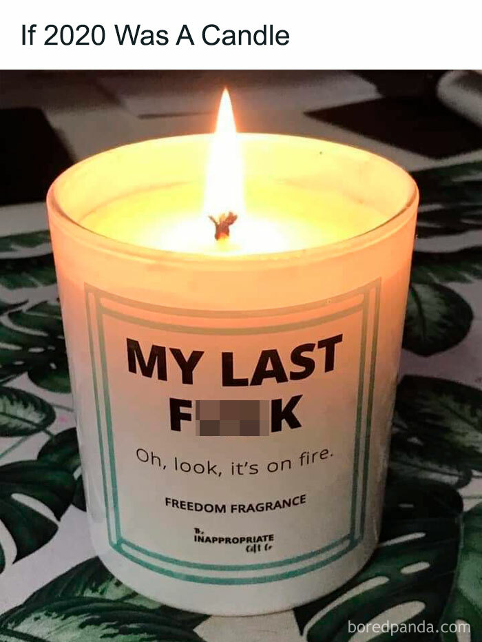 If-2020-Was-Meme-Joke