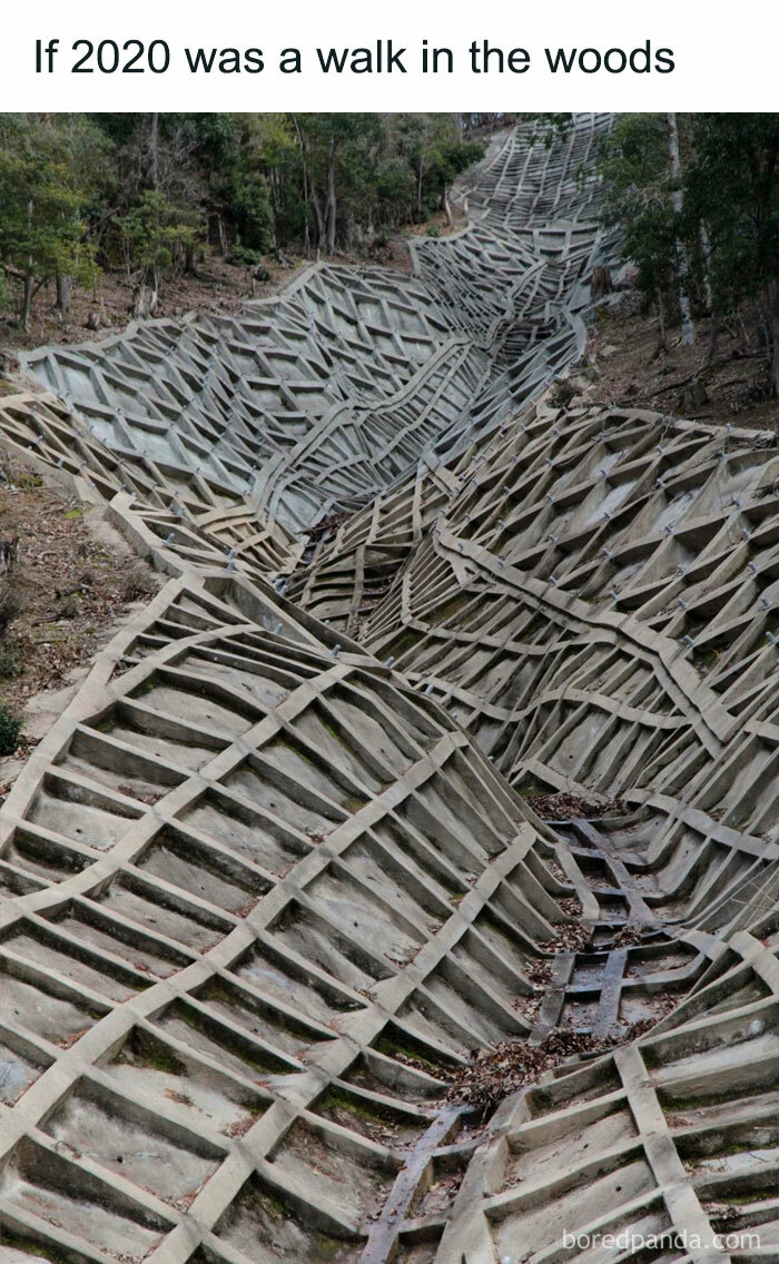 If-2020-Was-Meme-Joke