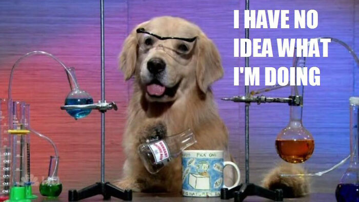 Golden retriever wearing glasses in a lab with chemistry equipment and funny dog meme text about confusion.
