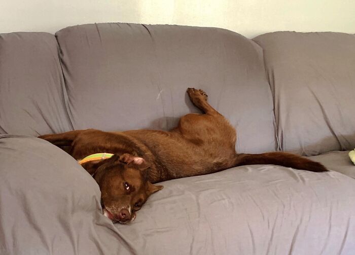 I Think She Is Broken