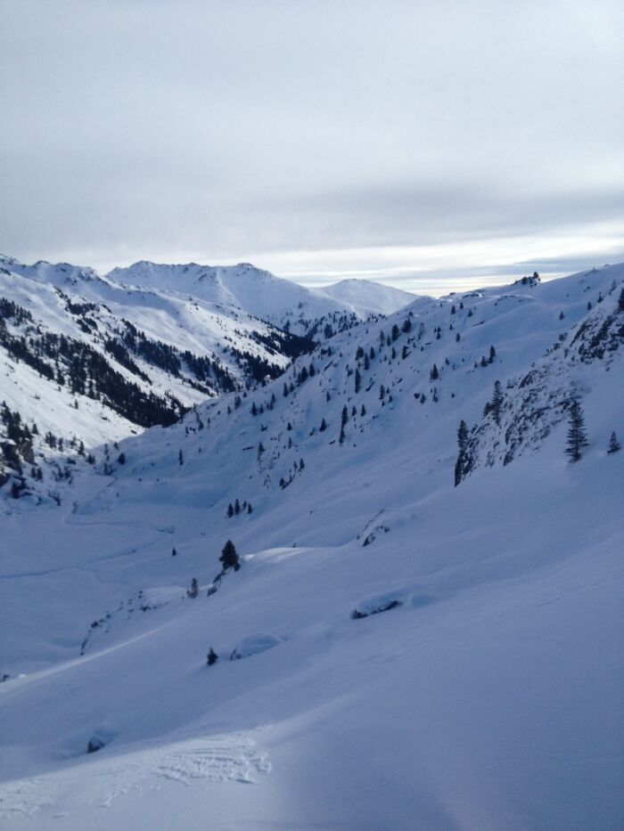 Fresh Snow In Tirol, Austria