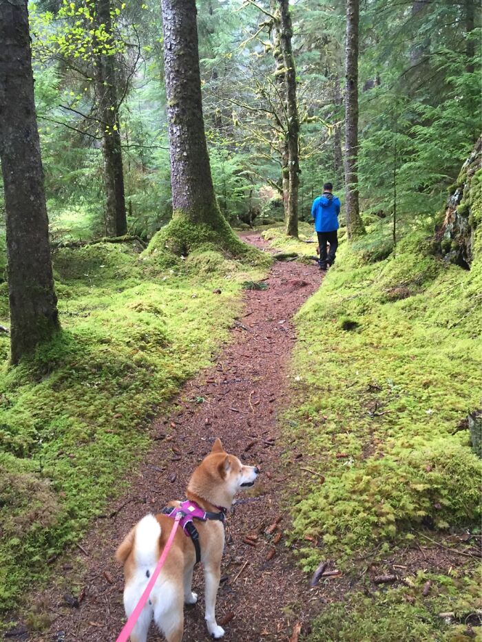 Haida Gwaii, British Columbia, Canada