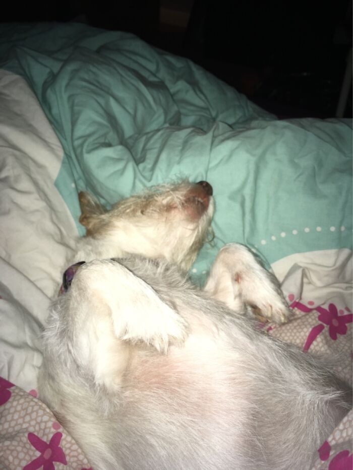 Made Herself Nice And Comfy