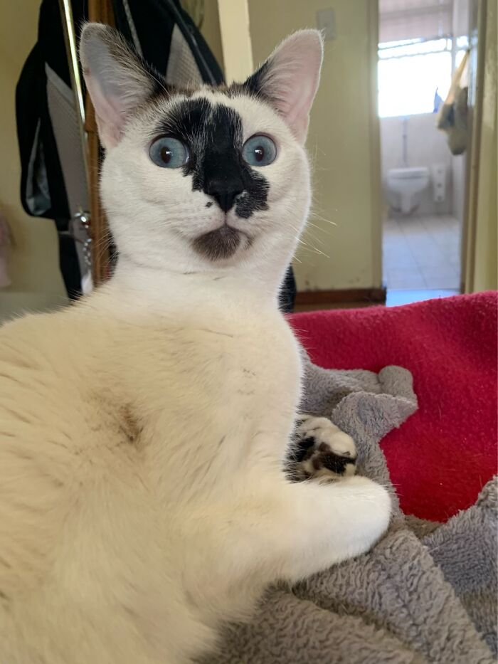 She’s Seen Some Things