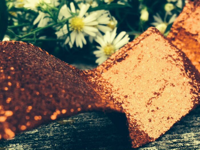 Of All My Photography Work, This One Is My Favorite.