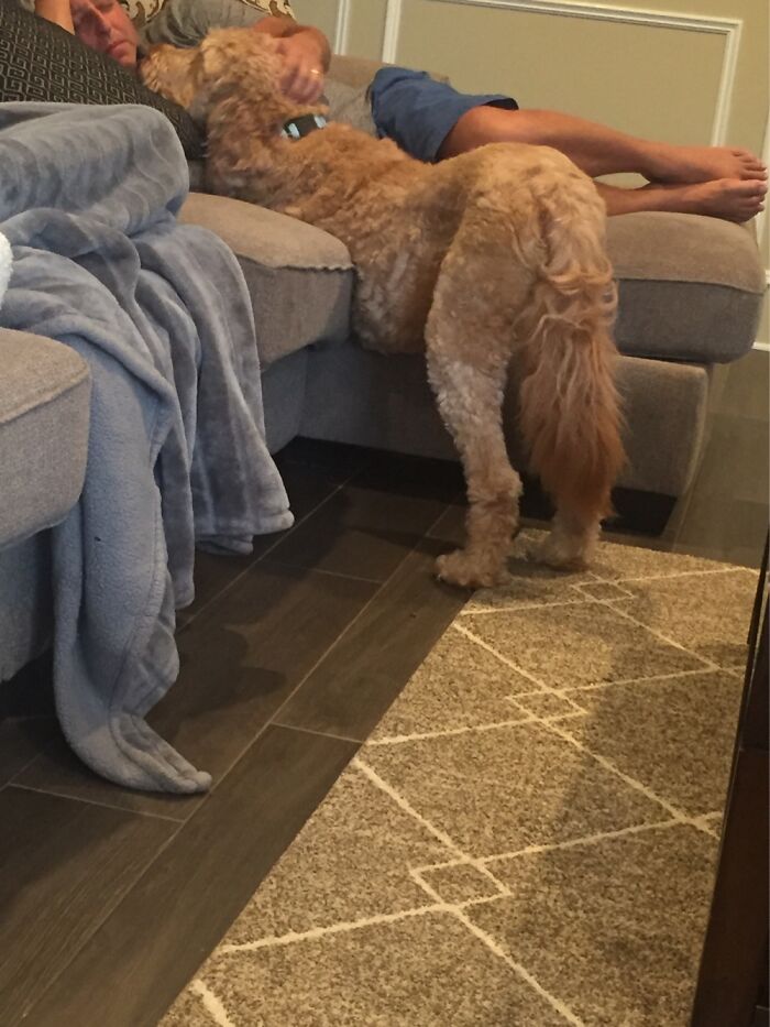 Arrrrrchhhhh The Back For That Bum