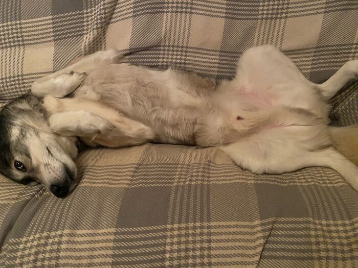 Draw Me Like One Of Your French Girls!