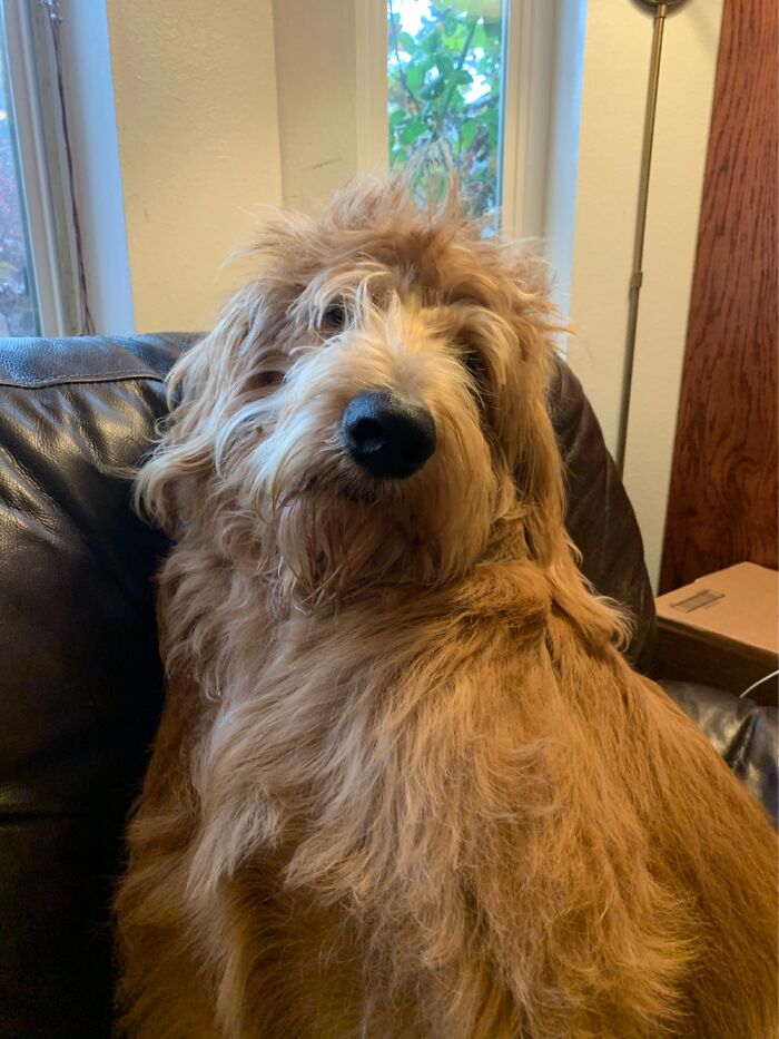 Ellis Marsalis, Named After The Musician, After Waking Up From A Very Active Dream