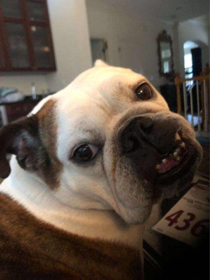 Do You Think She Needs Braces?