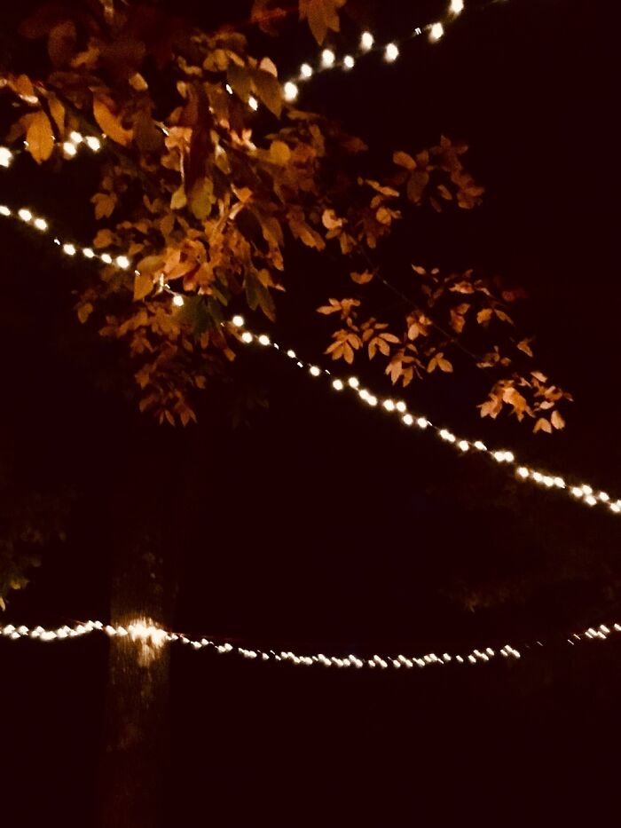 Photos Of Nature Photos Of Nature