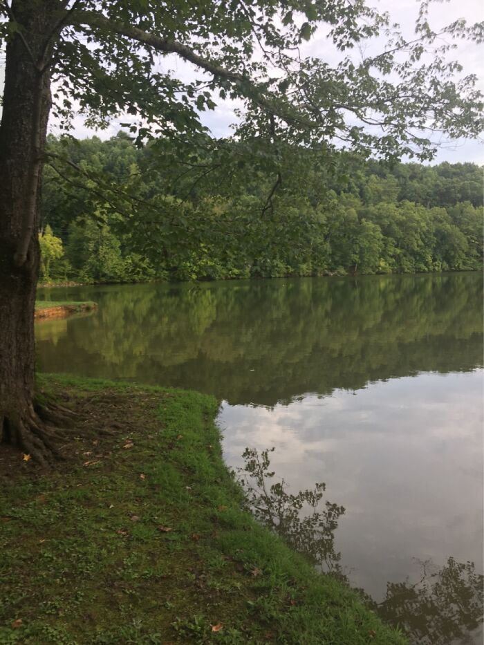 Photos Of Nature Photos Of Nature