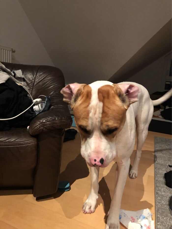 My Ears Are Wrong! Help.