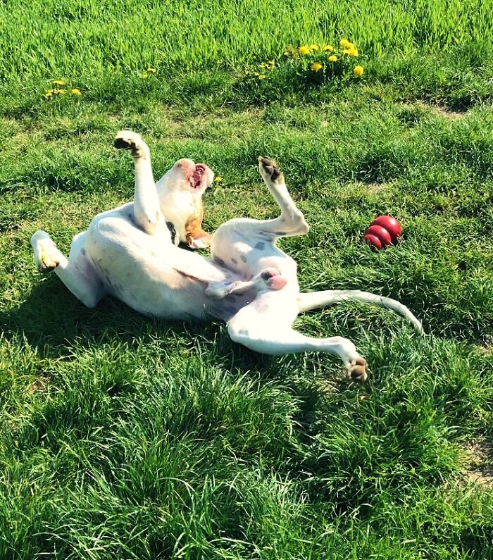 I Love The Outside Stuff!