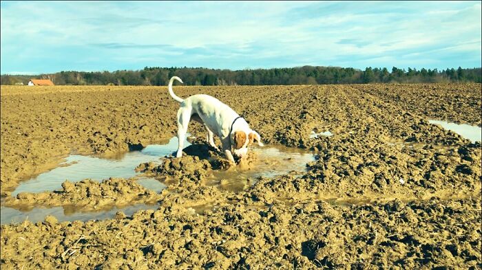 Maybe I Need A Bath Later