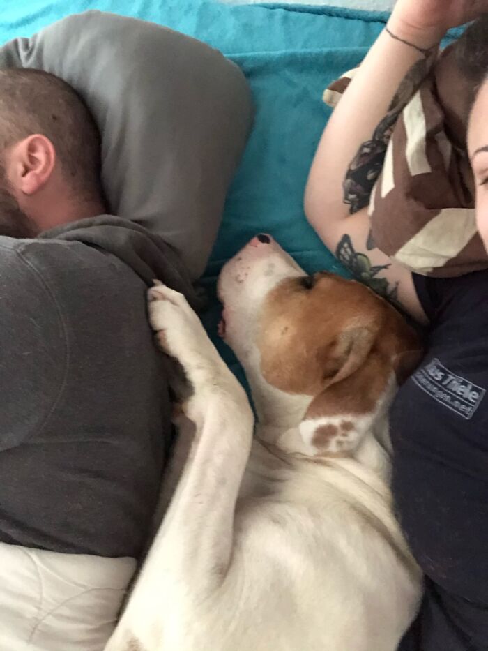 Sleeping With Mommy & Daddy