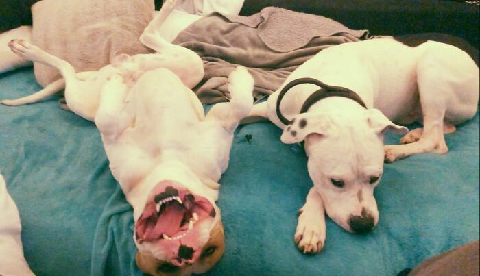 I Love My Best Friend