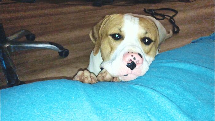 Can I Have Food.. Please