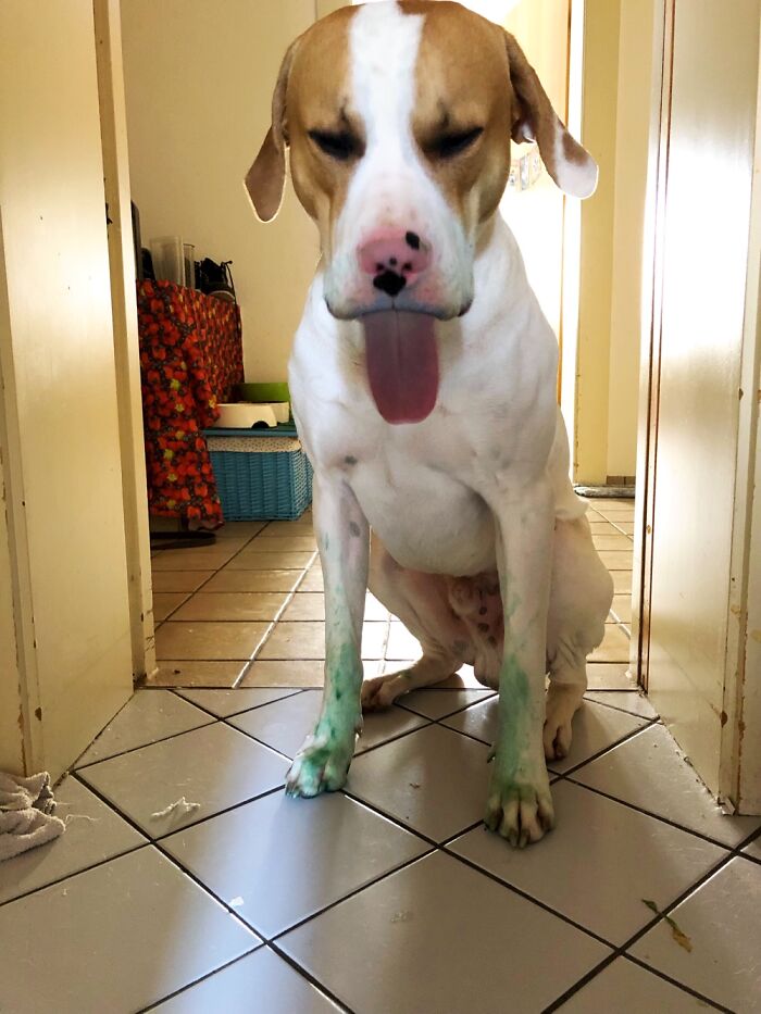 Remember: Pencils Are A No No !