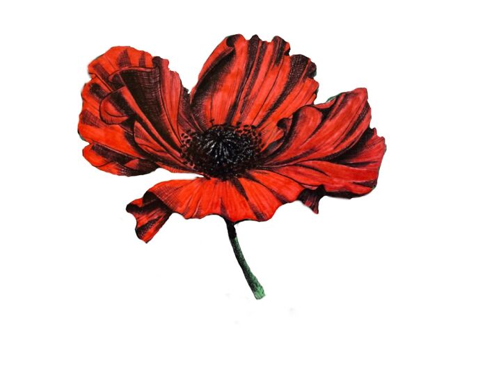 My Art Pieces I Did During Quarantine