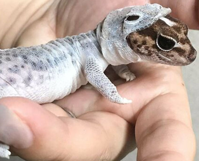 This Online Group With 7 Million Members Shares Only The Most Interesting Pics Ever, And Here’re 50 Of The Best Ones