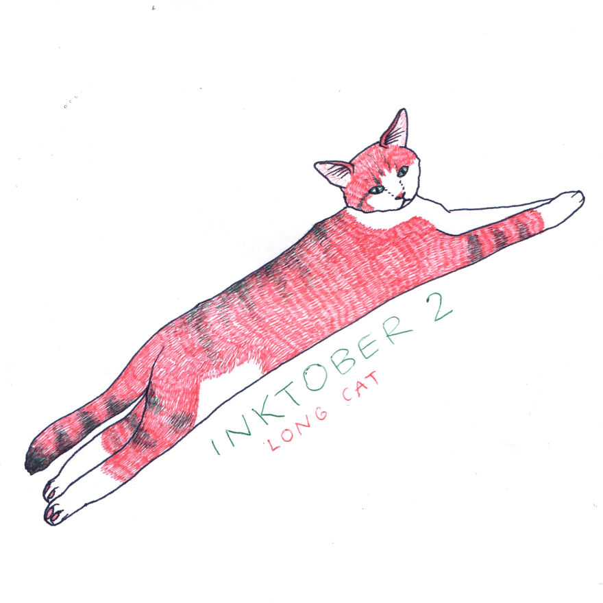 Long Cat