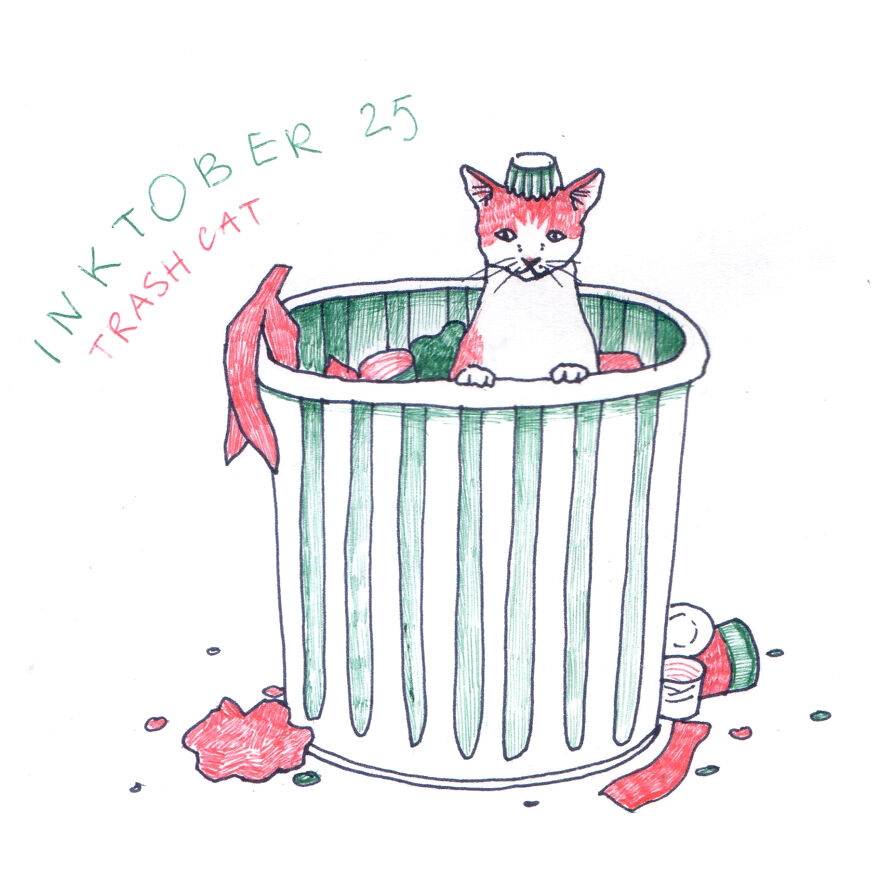 Trash Cat