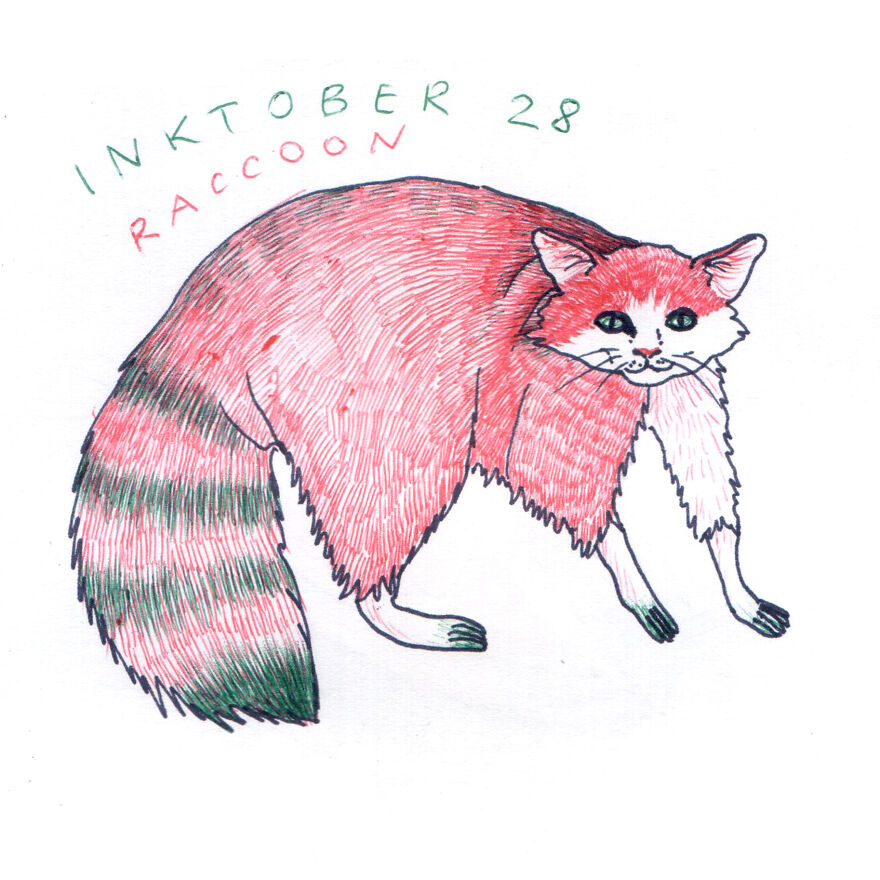 Raccoon